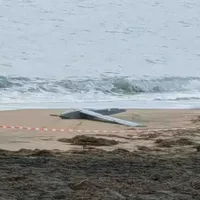 Dronă gasită între Costinești și Tuzla - Foto: Facebook