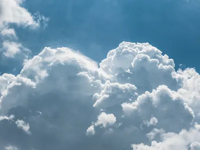 Nori Foto: Freepik (imagine cu rol ilustrativ)