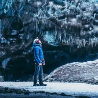 Ce animal ar lua locul oamenilor ca specie dacă am dispărea de pe planetă? Nimeni nu s-ar fi gândit - Foto: Freepik.com (rol ilustrativ)