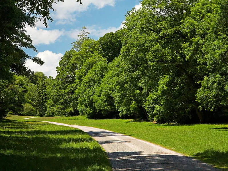 Ce riscă persoanele care beau bere în parc. Cele prins au încercat să conteste amenda în instanță Foto: Profimedia Images (fotografie cu caracter ilustrativ)