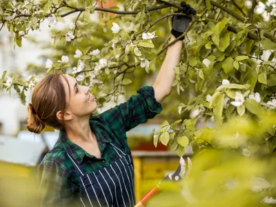 Pomicultor - Foto: Freepik (Imagine cu rol ilustrativ)