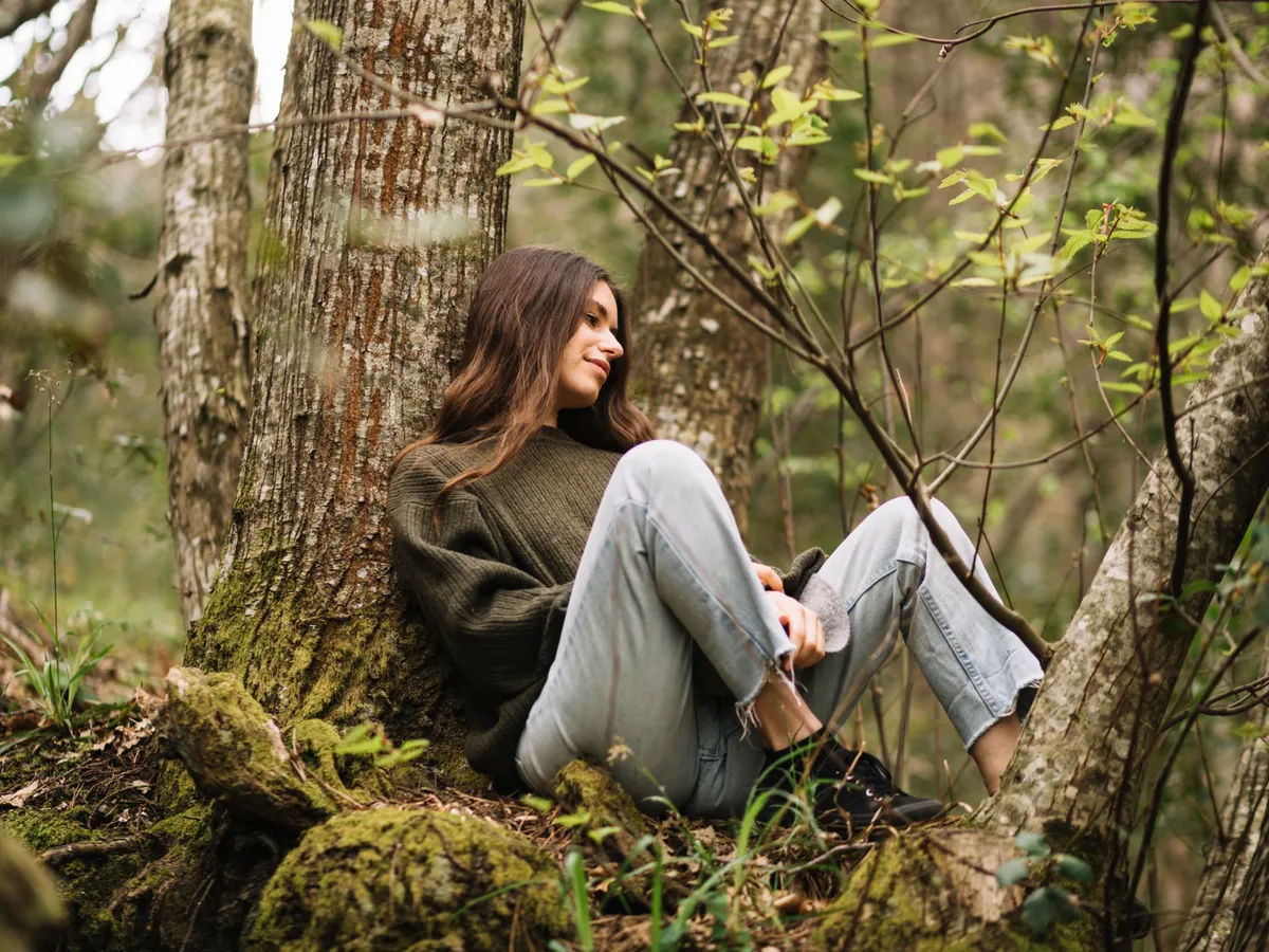 Pădure - Foto: Freepik