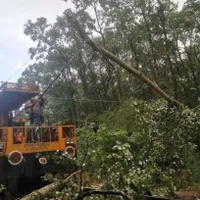 Din cauza căderii unor copaci pe linia de contact au apărut întârzieri ale trenurilor cuprinse între 30 şi 440 minute - Foto: CFR SA