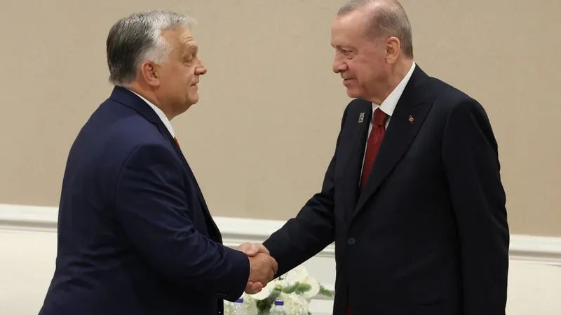 Orban i-a cerut lui Erdogan să sprijine misiunea de pace pentru Ucraina  Foto: profimediaimages.ro