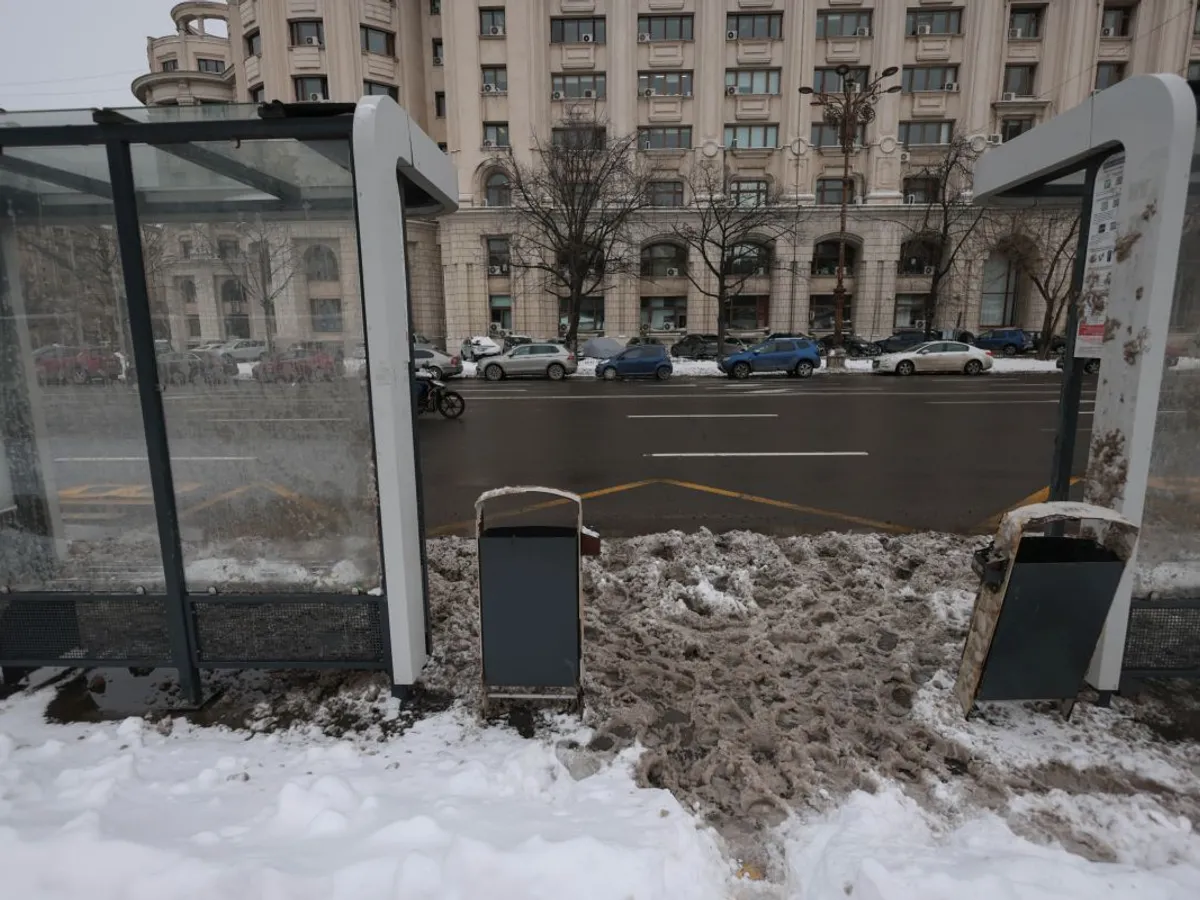 Imagini de la precedenta ninsoare din Bucureşti, de pe 2 februarie - Foto: INQUAM PHOTOS/George Călin