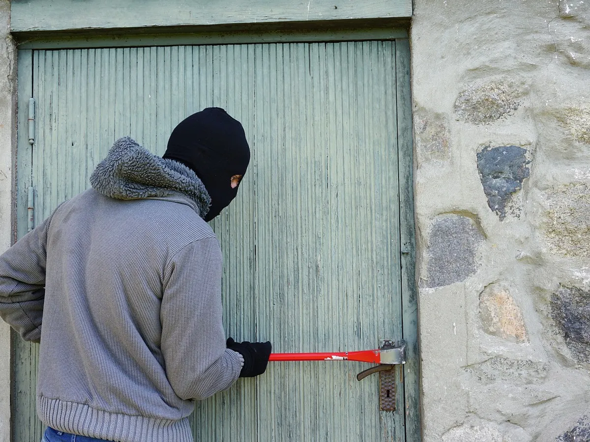 Care au fost cele mai ciudate furturi din lume - Foto: Pixabay (cu rol ilustrativ)