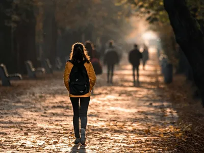 Imagine cu rol ilustrativ Foto: pexels.com