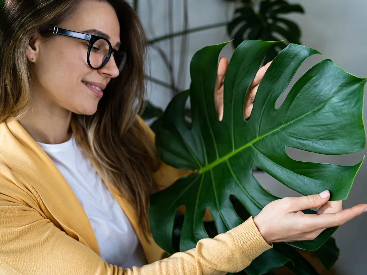 Floare - Foto: Freepik (Imagine cu rol ilustrativ)