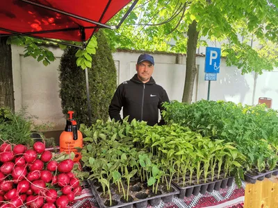 Agricultură în România după 9 ani de experiență în Anglia. „Găseau ce să facă cu căpșuna: șampoane, săpunuri, o exportau”