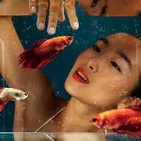 HOROSCOP chinezesc aprilie: Magie, noroc uriaș, schimbare și promisiuni cosmice pentru fiecare zodie -FOTO: Freepik(imagine cu rol ilustrativ)