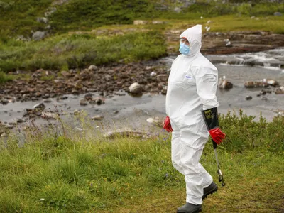 Focar de gripă aviară depistat într-o comună din județul Cluj. Ce măsuri trebuie respectate - Foto: Profimedia Images (Imagine cu rol ilustrativ)