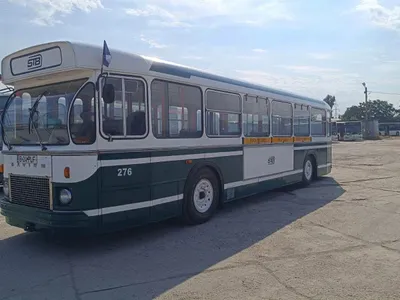 Autobuz - Foto: Facebook/Societatea de Transport București STB SA