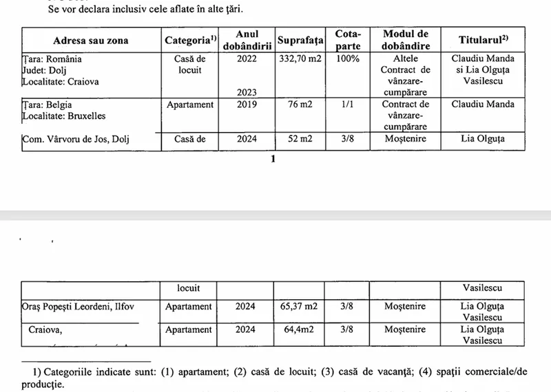 Declarație de avere Manda 2024 - Foto: ANI