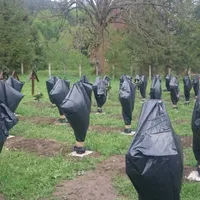 Cimitir Valea Uzului - Foto: Mediafax