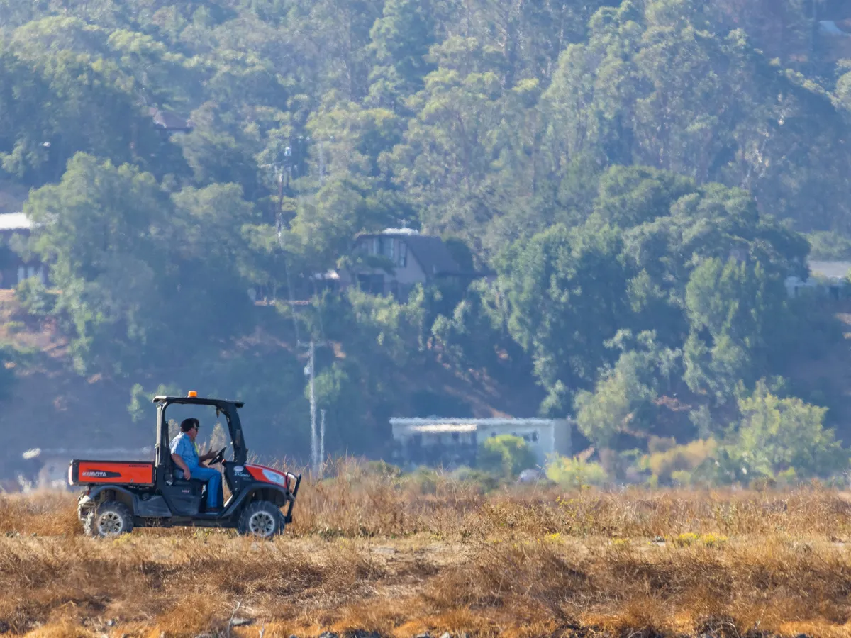 Ce categorie de români primește bani de la Guvern la finalul anului ? Sumele ajung la mii de lei Foto: Pexels (fotografie cu caracter ilsutrativ)
