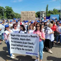 Profesorii sunt în grevă de 3 săptămâni Foto: Facebook/FSLI