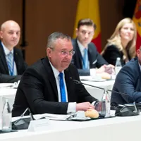 Ciucă - Foto: Profimedia