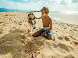 Neglijat de mama drogată, un copil a început să comunice cu câinii - Foto: Pexels (cu rol ilustrativ)