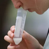 Ministerul Sănătăţii: Testarea elevilor se va realiza în clasă, în prima şi a patra zi a săptămânii. / Foto: thestate.com
