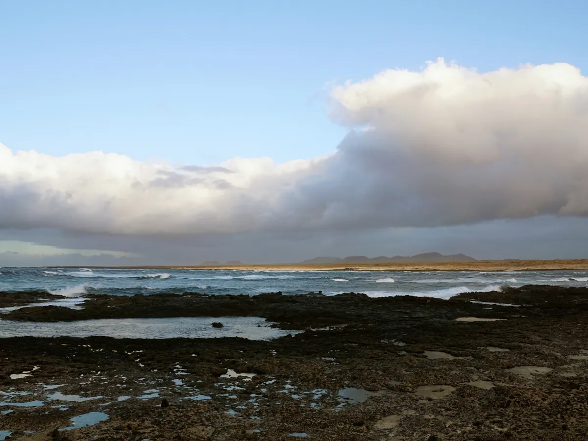 Nori Foto: Freepik (imagine cu rol ilustrativ)