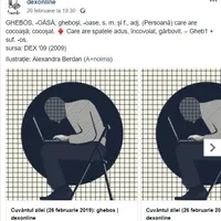 Ultima postare Dexonline dinainte ca pagina de Facebook să fie spartă