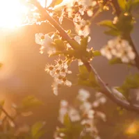 Meteorologii au anunțat când vine căldura. Va fi mai cald decât în mod obișnuit în aprilie Foto: Pexels (fotografie cu caracter ilustrativ)