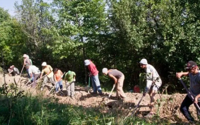 La muncă pe moşia lui Adi de la Brad. Sursa:  Facebook / Meditaţie Vipassana