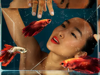 HOROSCOP chinezesc aprilie: Magie, noroc uriaș, schimbare și promisiuni cosmice pentru fiecare zodie -FOTO: Freepik(imagine cu rol ilustrativ)