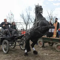 „Botezul cailor”, de Bobotează n-ar trebui făcut cu agheasmă - Foto: INQUAM Photos/George Călin - cu rol ilustrativ