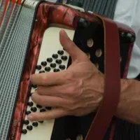 Fratele lui Ion Dolănescu, reținut, alături de mai mulți lăutari. Au luat ajutoare COVID necuvenite. / Foto: playtech.ro