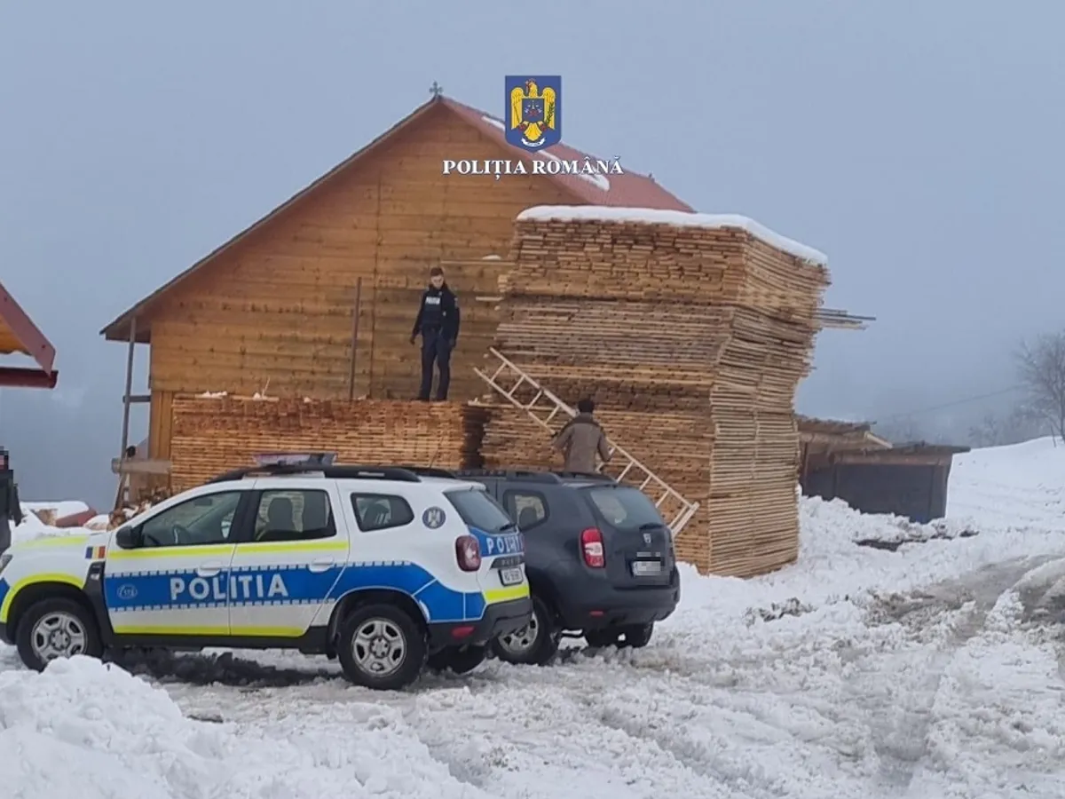 Descinderi la o fabrică de cherestea-imagine cu rol ilustrativ Foto: Poliția Română