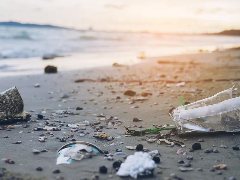 Gunoaie de plastic pe o plajă - Foto: Freepik/jcomp