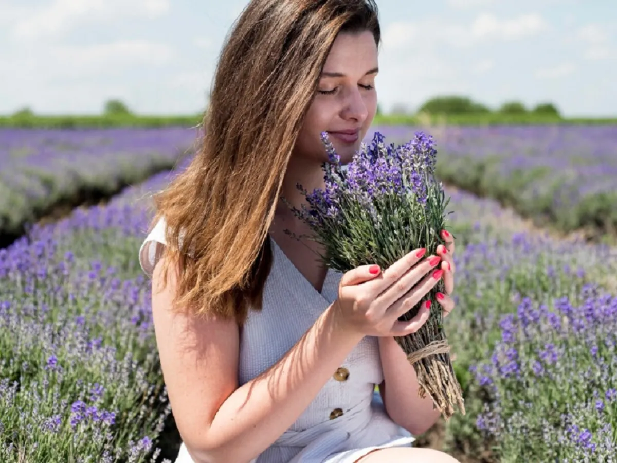 Camp de lavandă - Foto: freepik (rol ilustrativ)