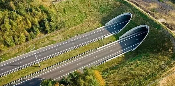 Autostradă / Foto: Irinel Ionel Scriosteanu