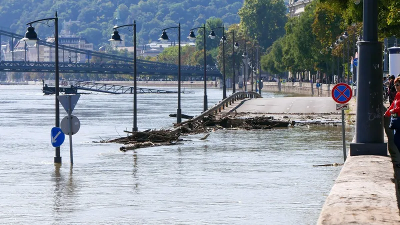 Budapesta, asaltată de șobolani după ce a fost inundată de Dunăre. Se poate și în România? - Foto: Profimedia Images
