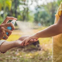 Condimentul cu care ții țânțarii la distanță. Fug atunci când ești prin prejmă. Te dai pe piele - Foto: Freepik (imagine cu rol ilustrativ)