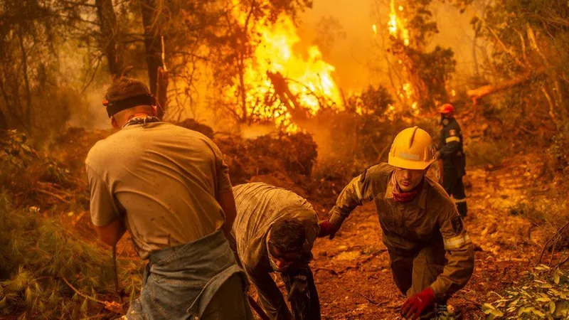 Incendiile de vegetație din vară au provocat emisii record de CO2. / Foto: bbc.com