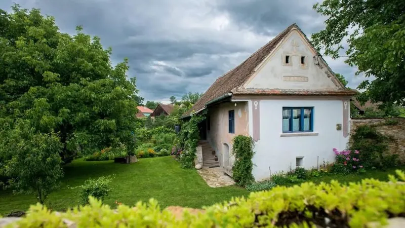 AMENDĂ de câteva sute de euro pentru românii care stau la curte și au copaci. Ce te obligă legea? - Istock / imagine cu rol ilustrativ