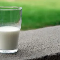 Pe rafturile de la noi: „Sunt produse lactate şi produse din lapte care nu au văzut laptele!” Foto: Pexels (fotografie cu caracter ilustrativ)