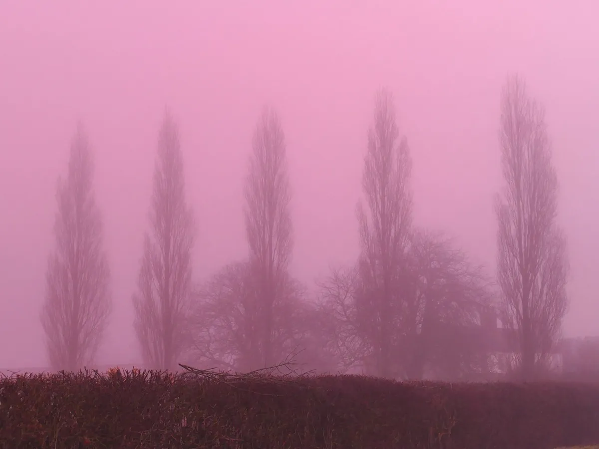 Fenomen natural unic. O ceață roz învăluie Marea Britanie și este spectaculoasă inclusiv pentru specialiști