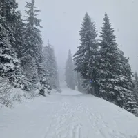 Vreme foarte rece cu vânt puternic în weekend: Unde vom avea cod portocoaliu de ninsori și viscol Foto: facebook/Meteoplus