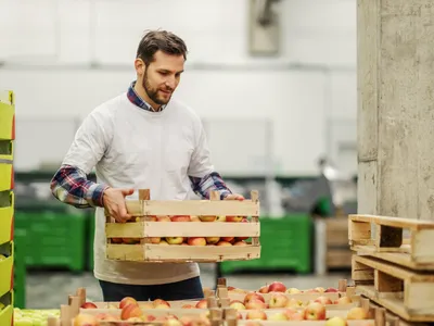 Bărbat care ține în mână o lădiță cu mere - Foto: Freepik (Imagine cu rol ilustrativ)