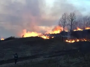 Incendii de vegetație/ Foto: Facebook ISU Gorj