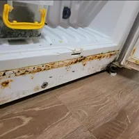 VIDEO Mizerie și produse expirate de ani de zile, descoperite în Delta Dunării și pe litoral / news.ro