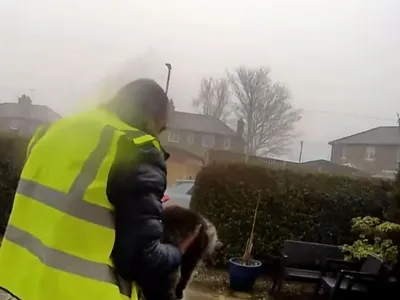 Un român din Marea Britanie riscă să stea cinci ani în închisoare pentru că a furat o pisică - Foto: Digi24