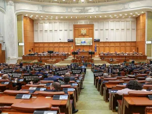 Senatul e de acord cu Guvernul în conflictul juridic. Foto Inquam Photo/Octav Ganea