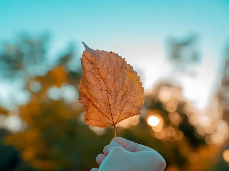 VREMEA se schimbă total în următoarele zile. Trecem la ținuta de vară în câteva orașe Foto: Pexels (fotografie cu caracter ilustrativ)