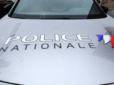 În faţa mai multor moschei din Franţa s-au găsit capete de porc - Foto: Profimedia Images