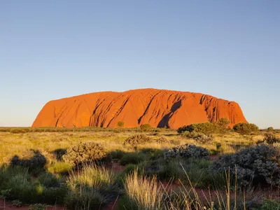 Munte Foto: Freepik (imagine cu rol ilustrativ)