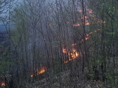 Zeci de hectare de vegetație uscată au luat foc în Prahova. În zonă bate vântul - Foto: ISU Prahova